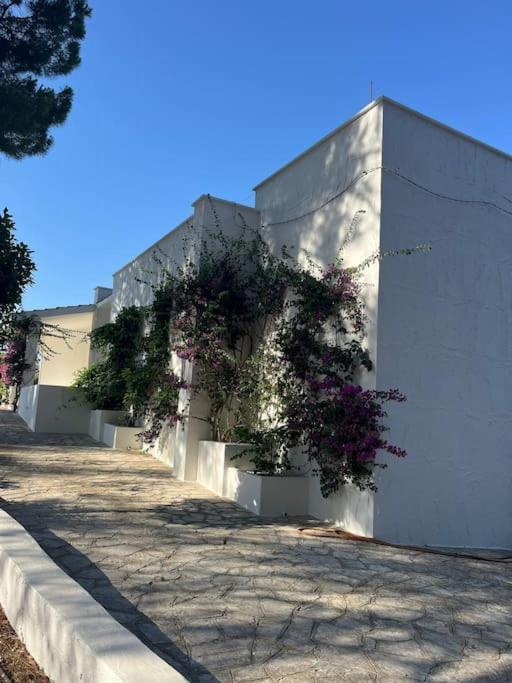Villa Bouganville 2 Остуни Экстерьер фото