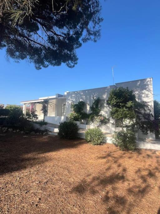 Villa Bouganville 2 Остуни Экстерьер фото